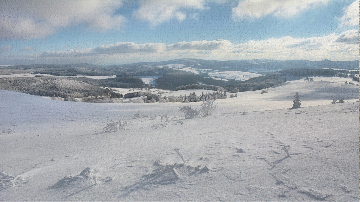 Wasserkuppe 17.1.2017