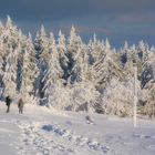 Wasserkuppe 17.1.2017