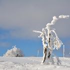 Wasserkuppe 17.1.2017