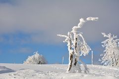 Wasserkuppe 17.1.2017