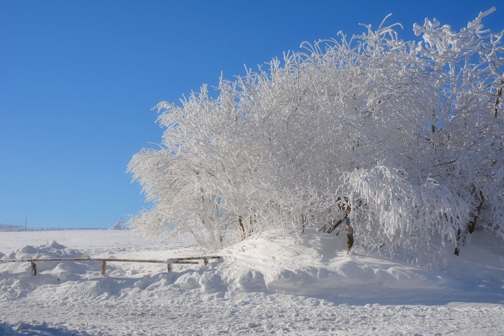 Wasserkuppe 17.1.2017