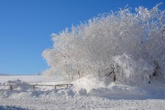 Wasserkuppe 17.1.2017