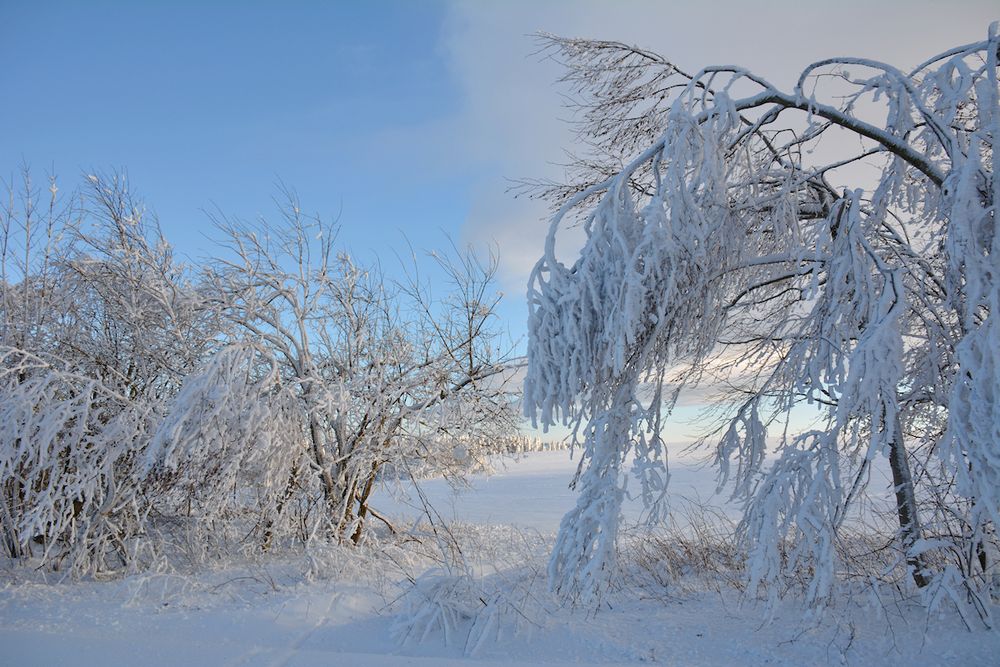 Wasserkuppe 7.12.17