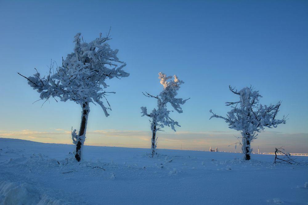 Wasserkuppe 7.12.17