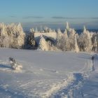 Wasserkuppe 7.12.2017