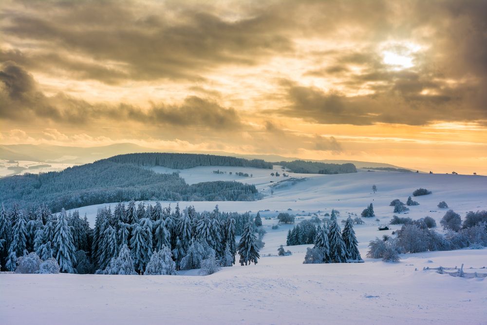 Wasserkuppe - Ein Wintermärchen