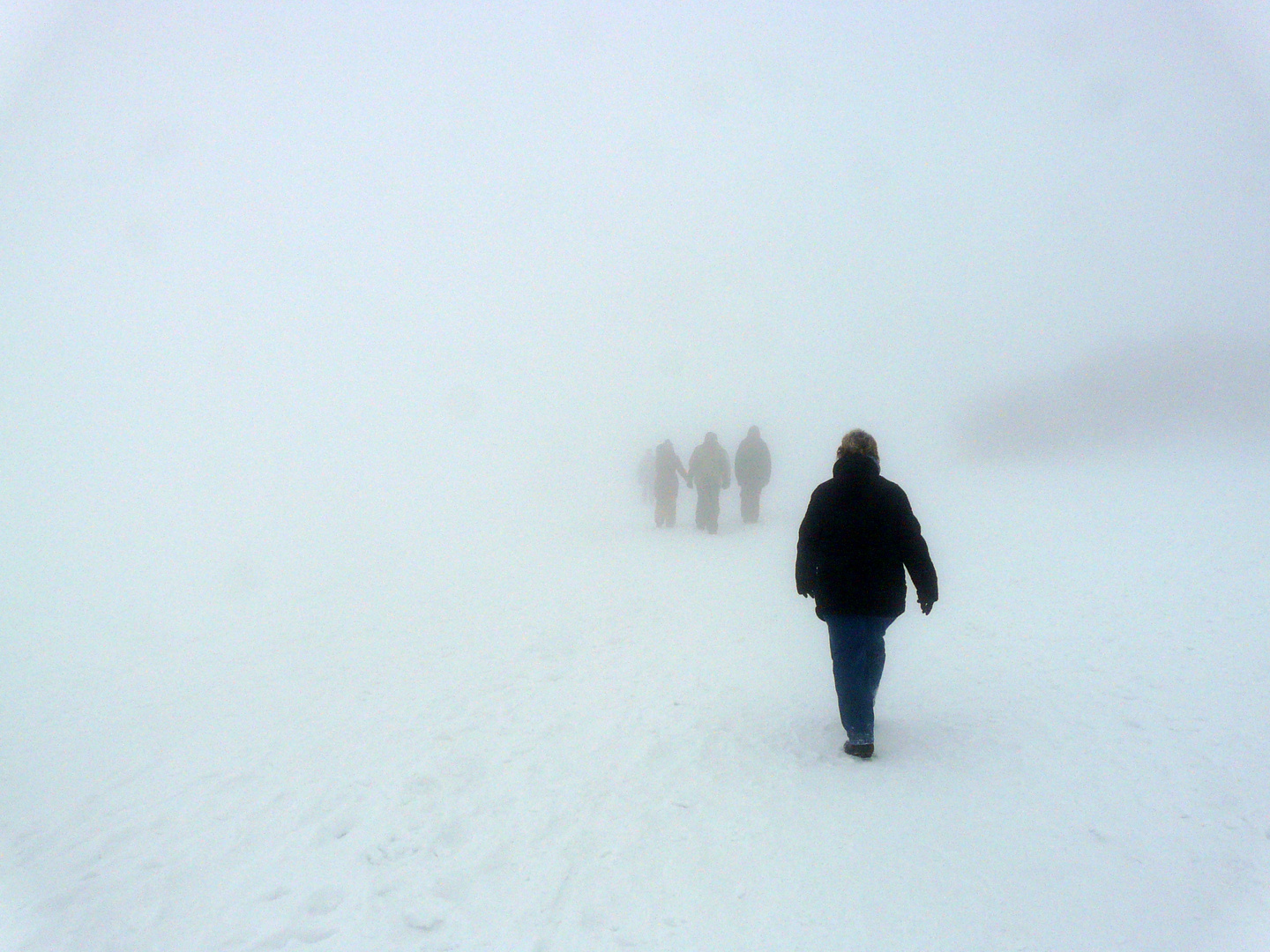 Wasserkuppe im Nebel