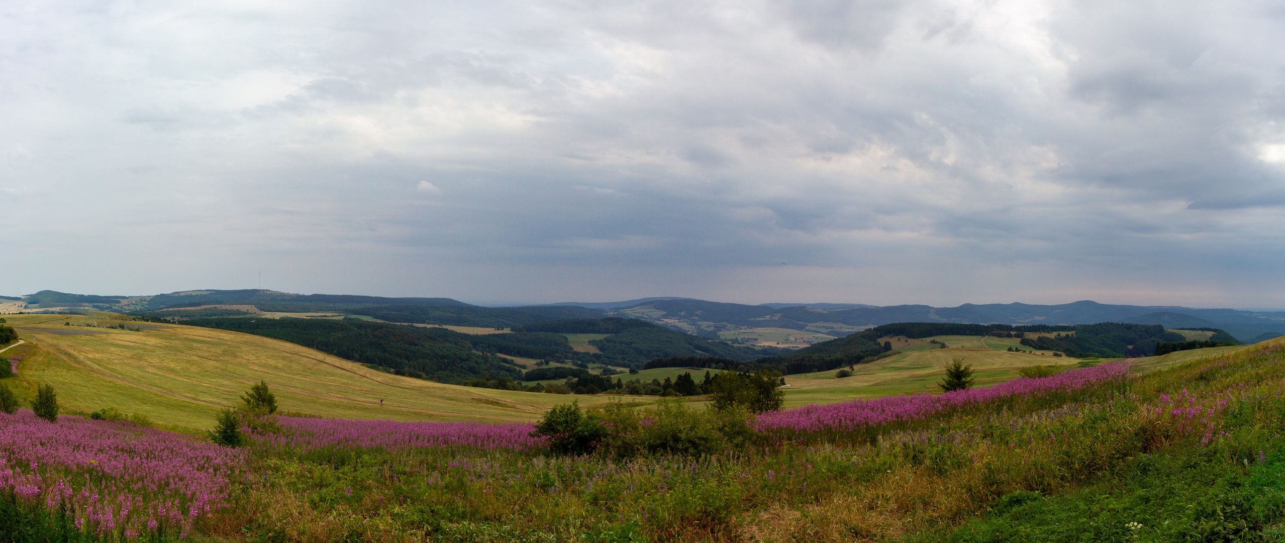 Wasserkuppe Panorama