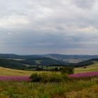 Wasserkuppe Panorama