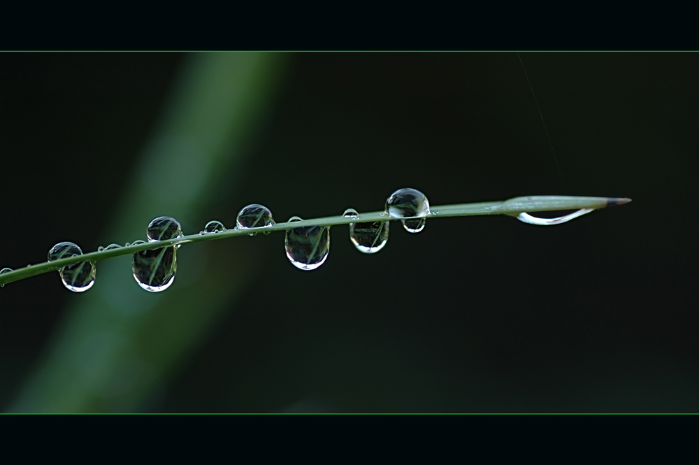 Wasserkuppeln