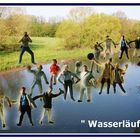 Wasserläufer