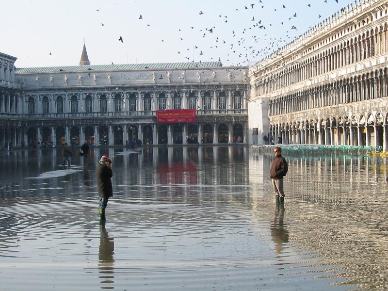 Wasser"läufer" in Venedig, v1.1