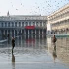 Wasser"läufer" in Venedig, v1.1