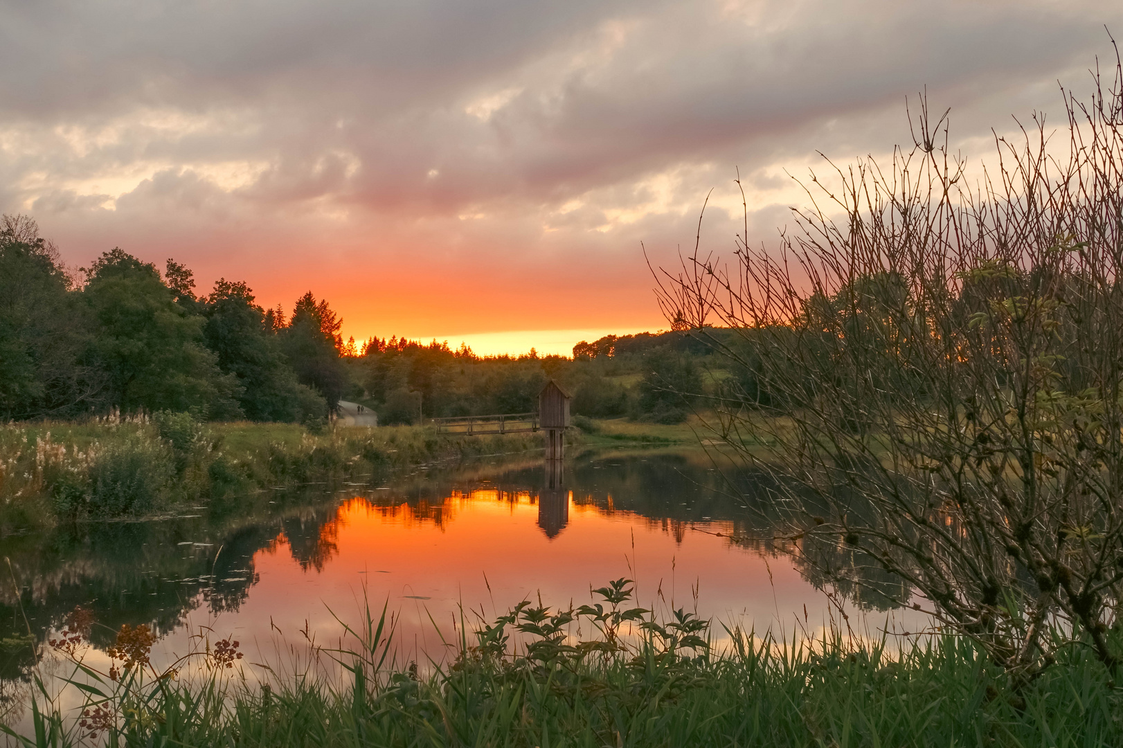 Wasserläufer Teich