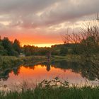 Wasserläufer Teich