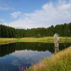 Wasserläufer Teich