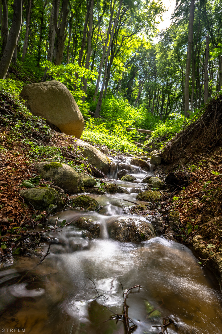 wasser_läuft