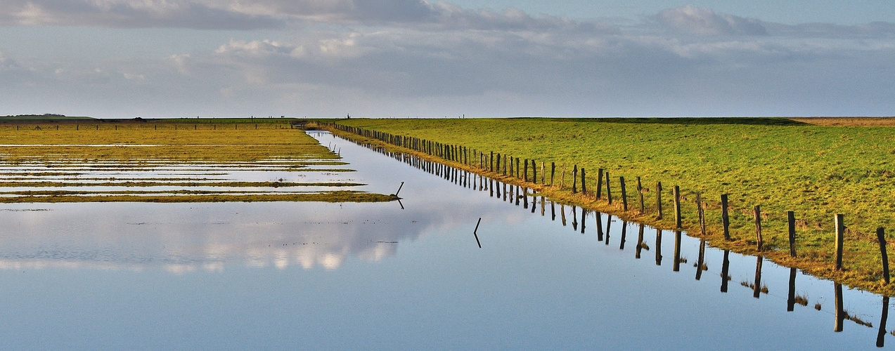 Wasserland