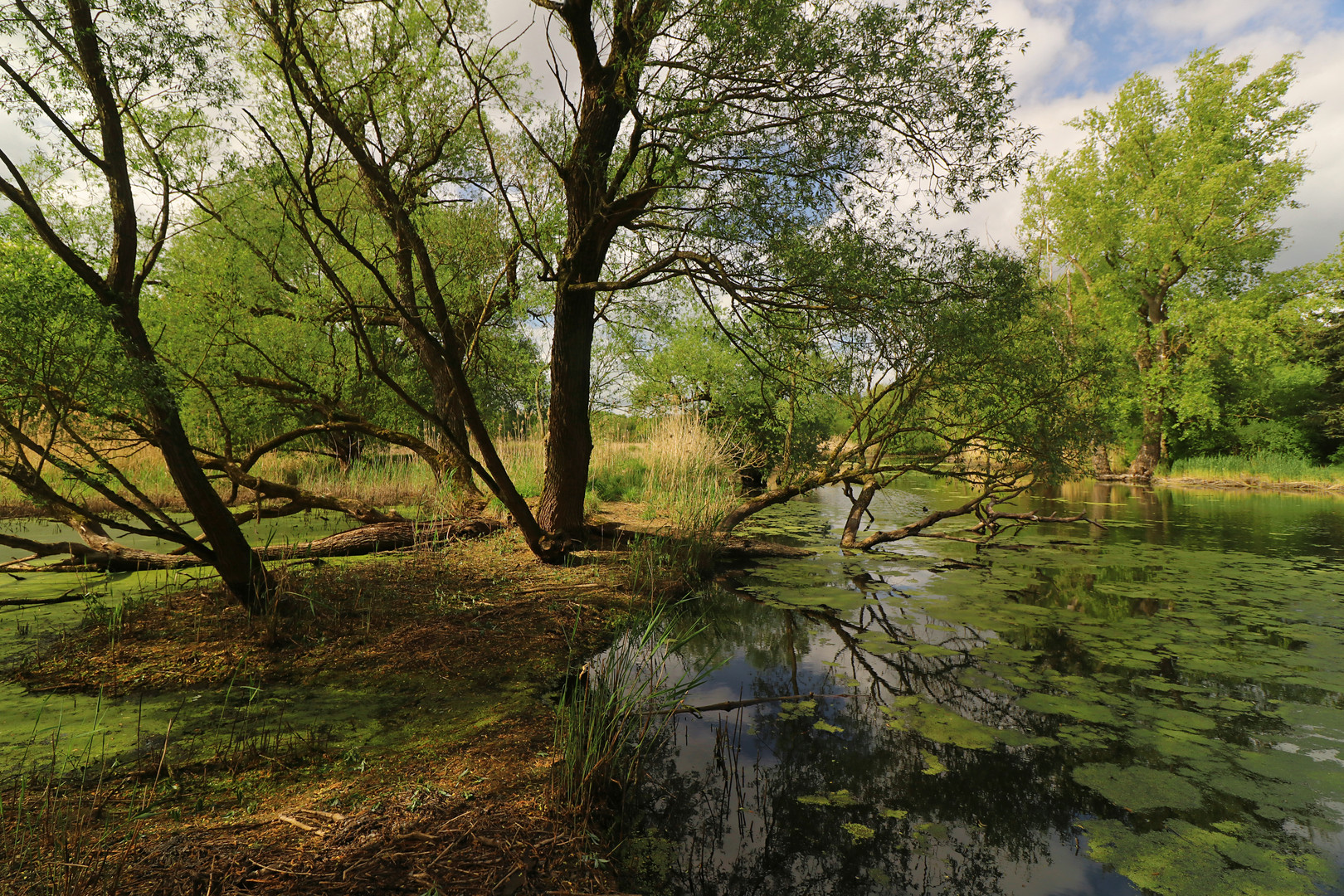 Wasserlandschaft