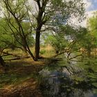 Wasserlandschaft