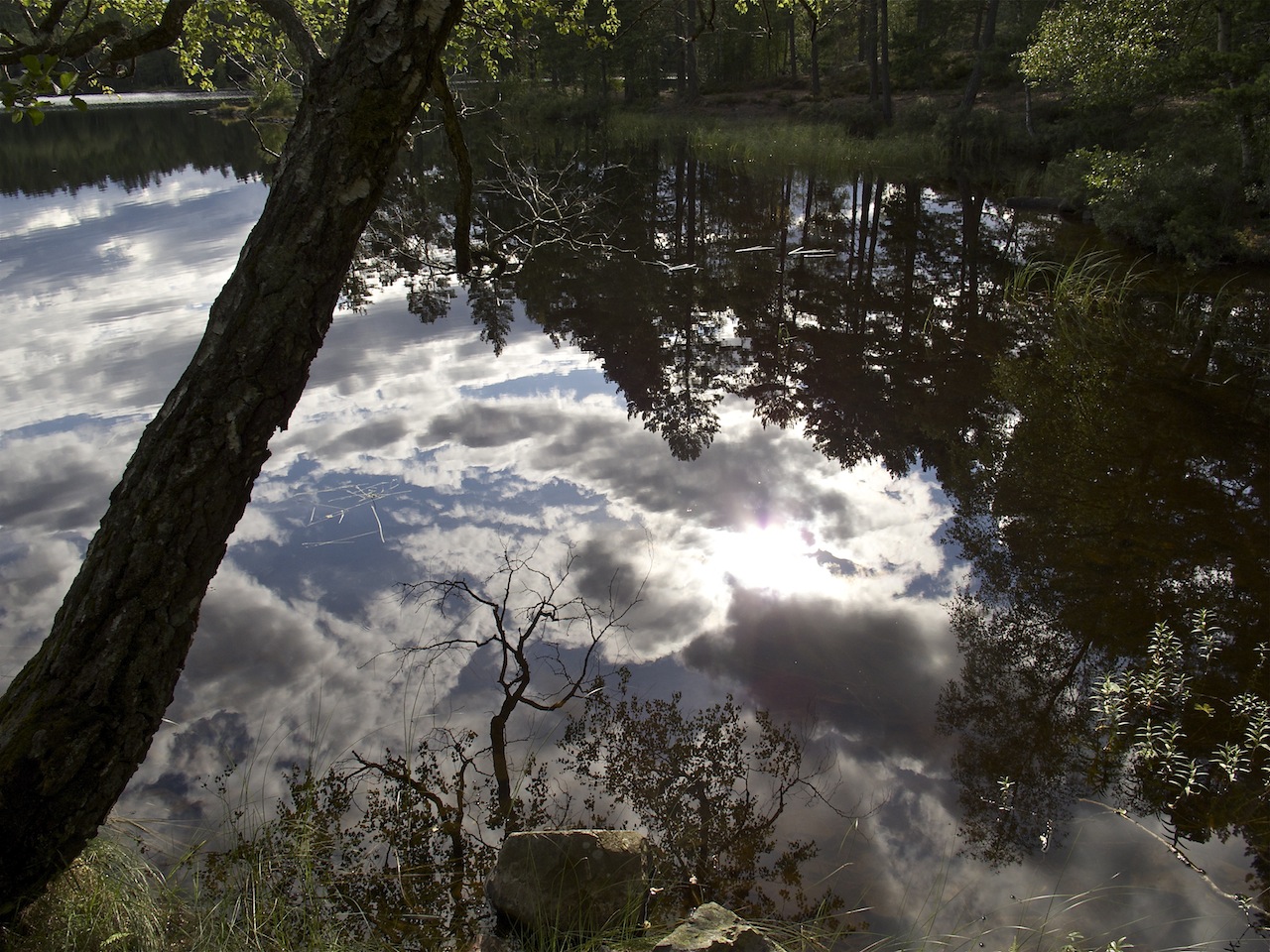 Wasserlandschaft