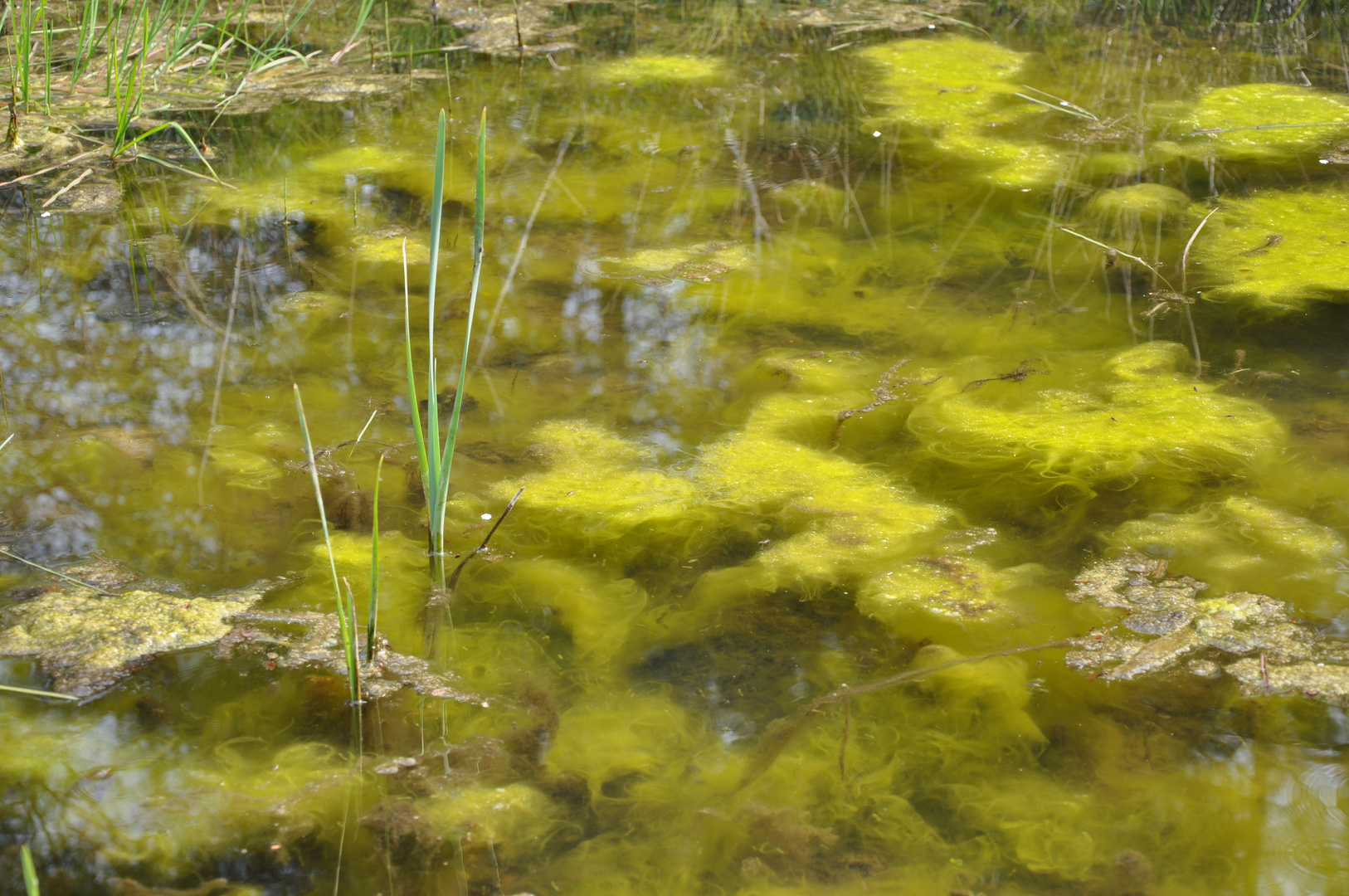 wasserlandschaft.