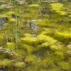 wasserlandschaft.