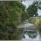 Wasserlandschaft