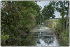 Wasserlandschaft