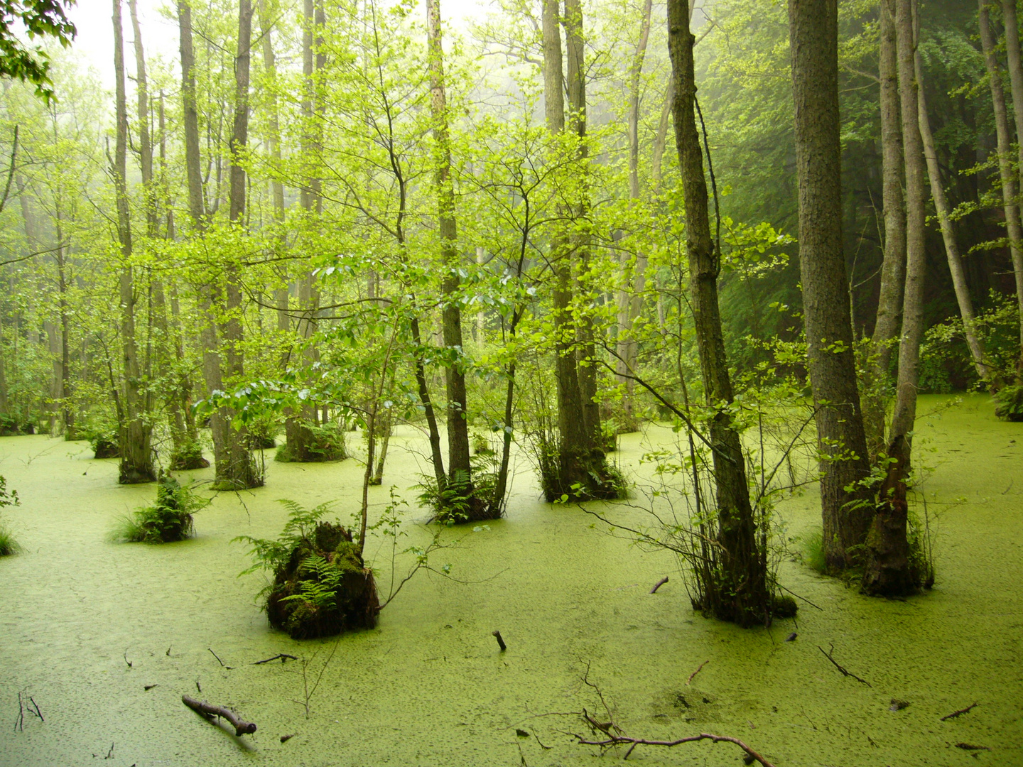 Wasserlandschaft