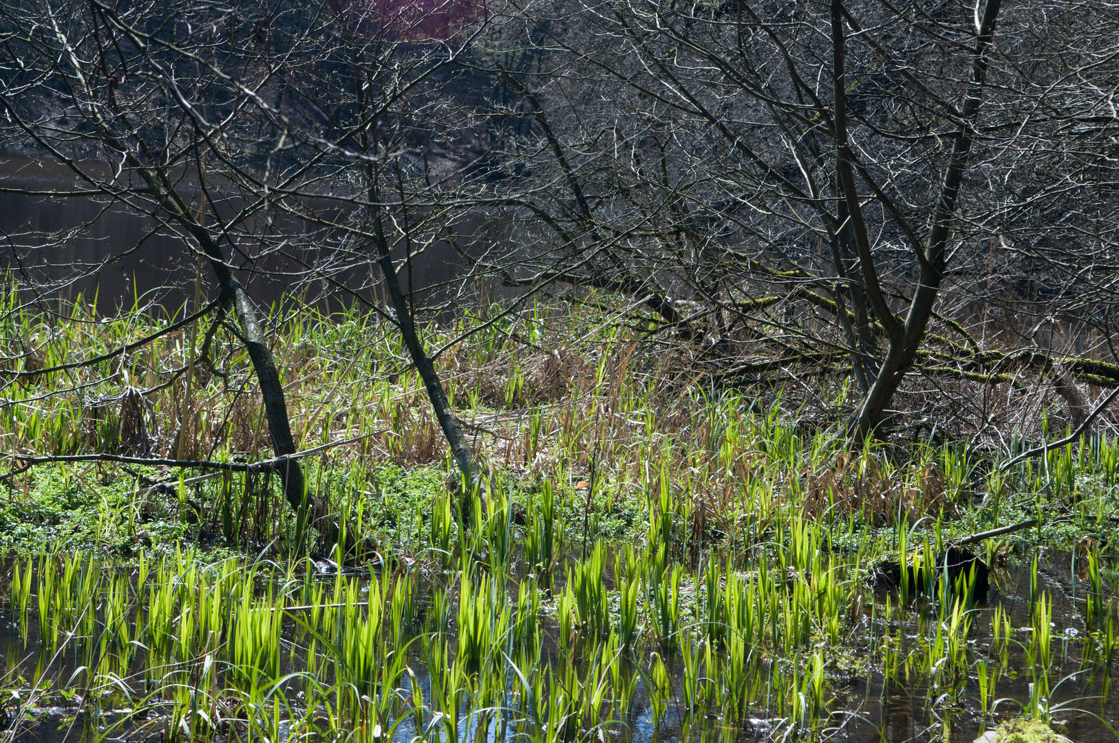 Wasserlandschaft - Extern Steine