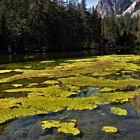 Wasserlandschaft - grüner see