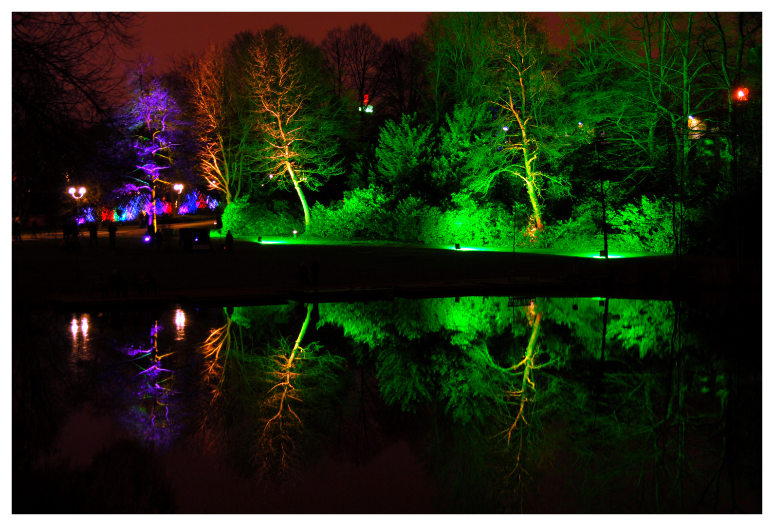 Wasserlandschaft - Grugapark Parkleuchten 2012