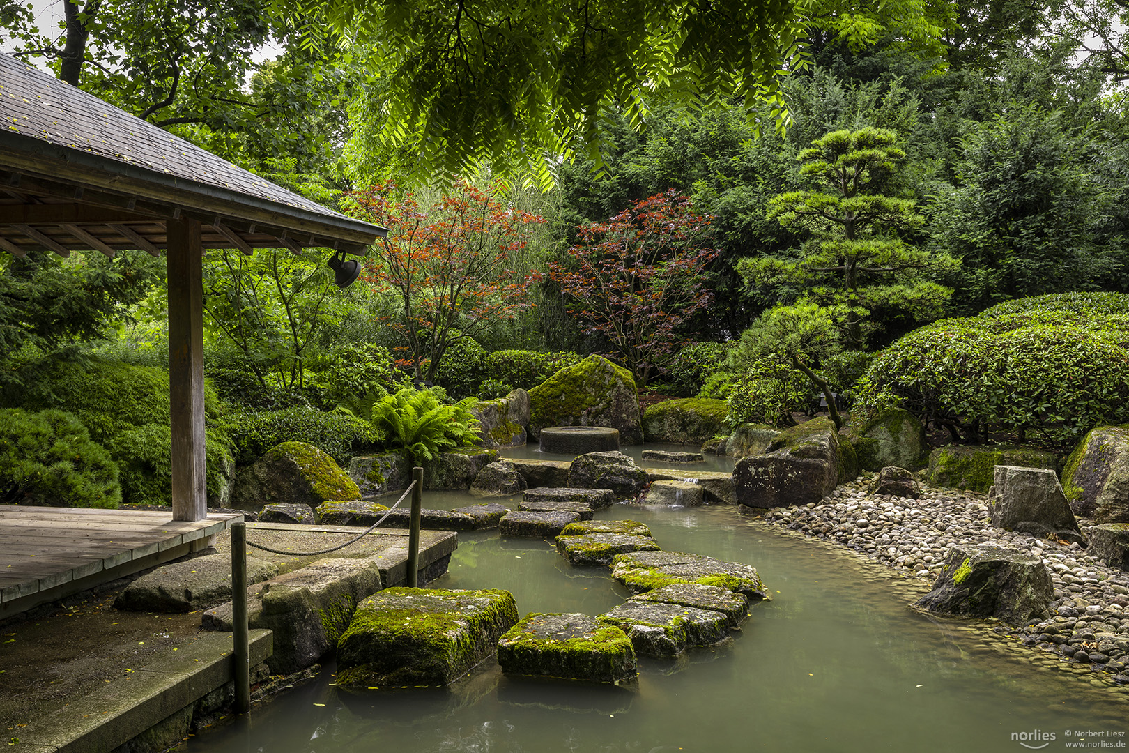 Wasserlandschaft im Japangarten