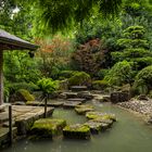 Wasserlandschaft im Japangarten