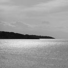 Wasserlandschaft in schwarz- weiss