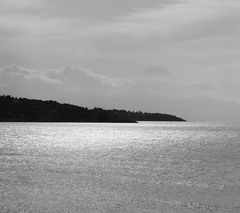 Wasserlandschaft in schwarz- weiss