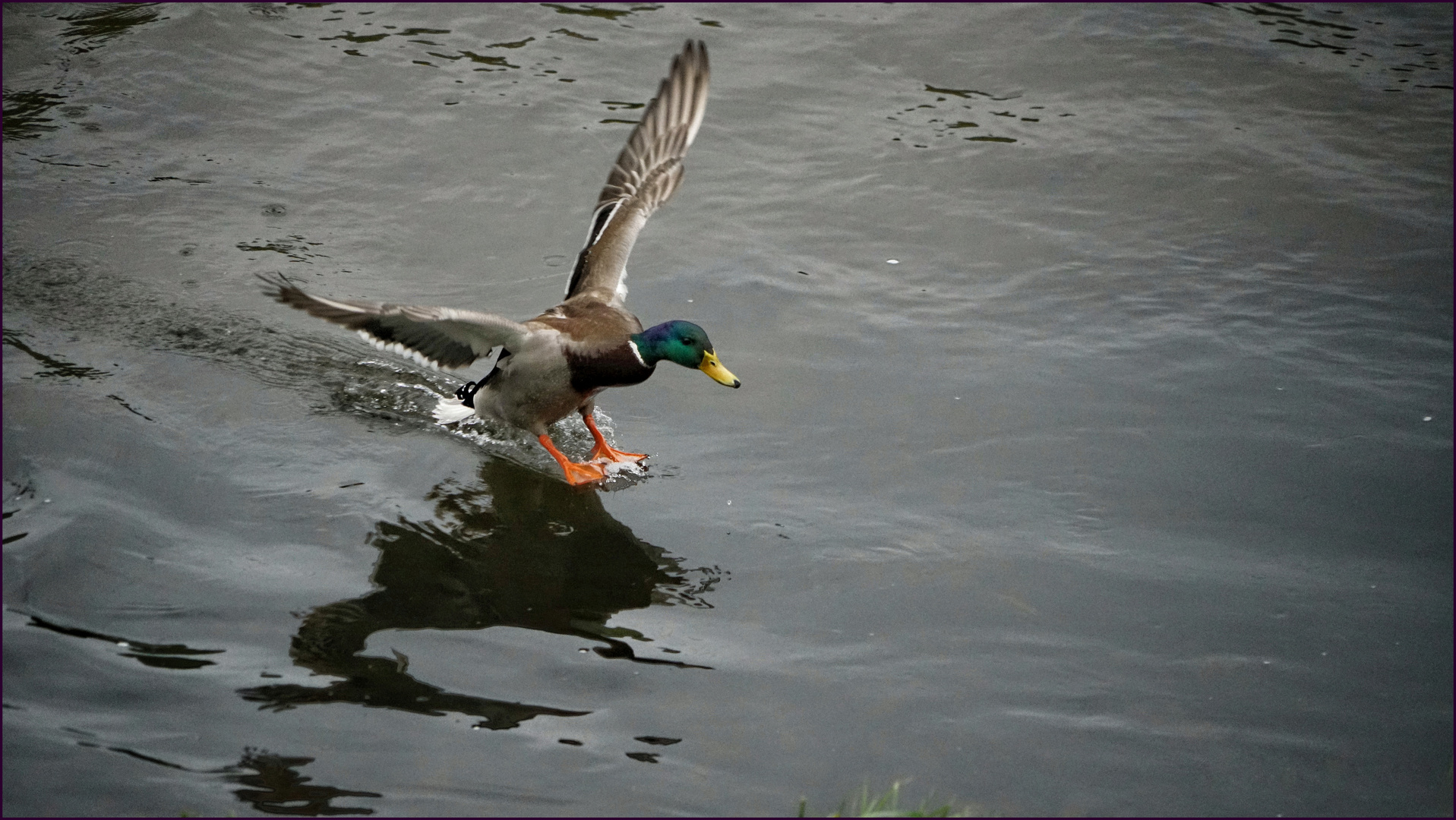 Wasserlandung ....