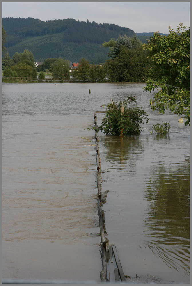 Wasserlatten