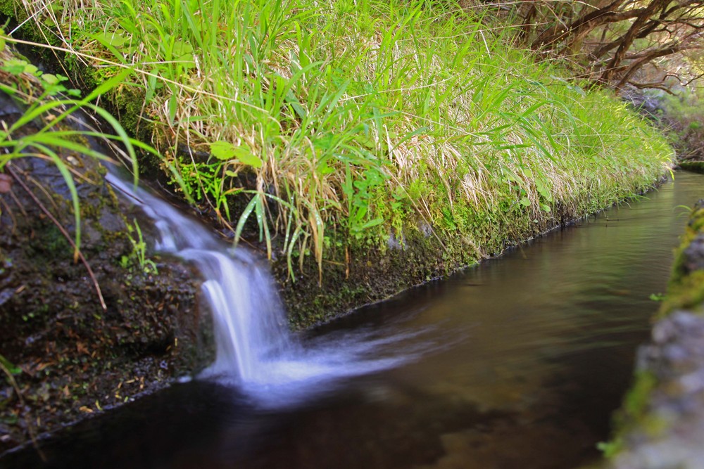 Wasserlauf