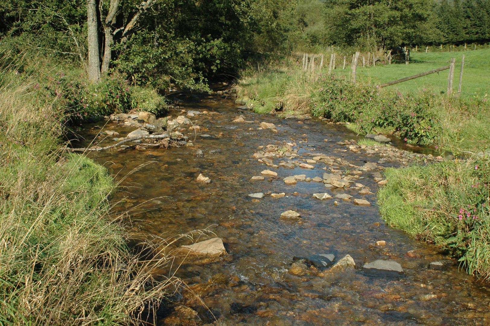 Wasserlauf