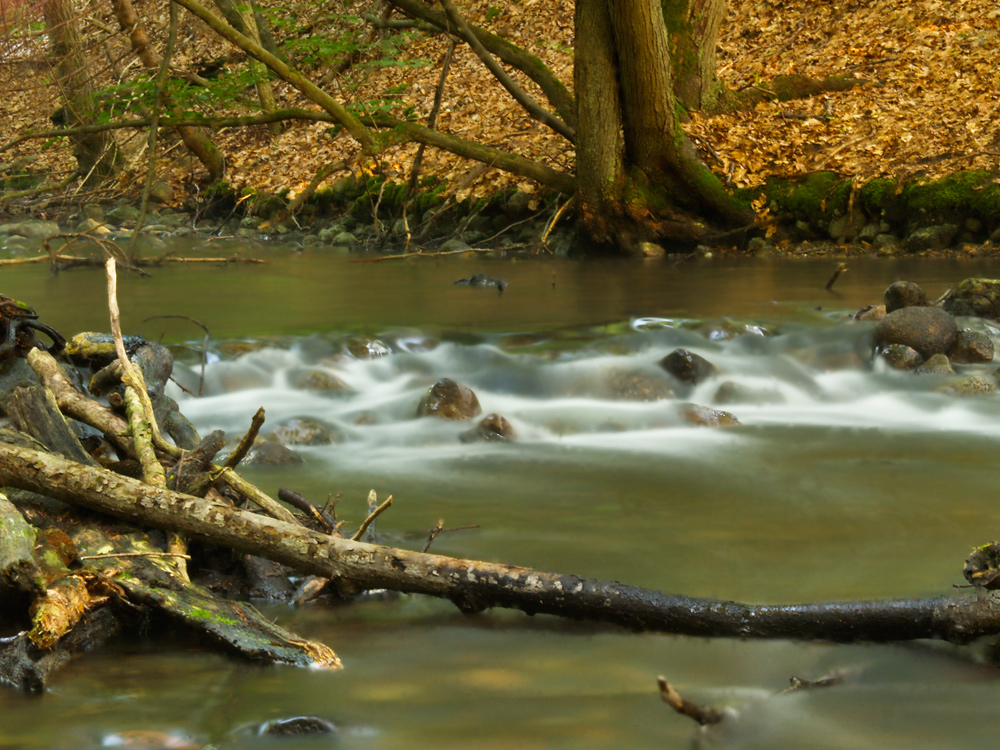 Wasserlauf