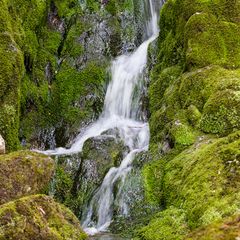 Wasserlauf