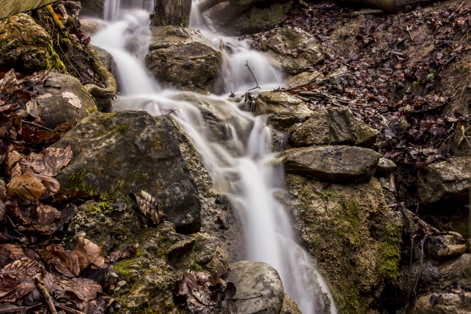 Wasserlauf