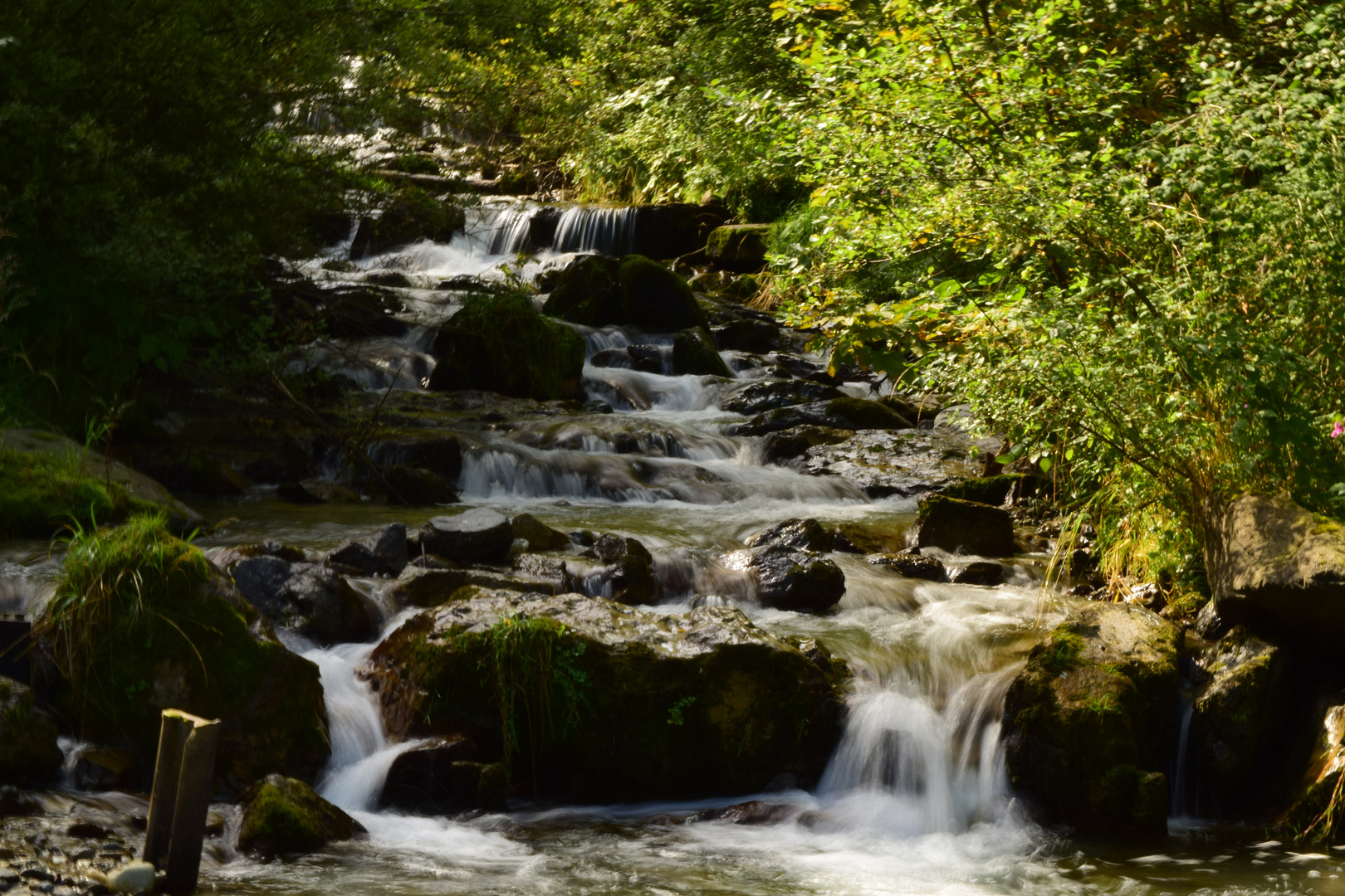 Wasserlauf