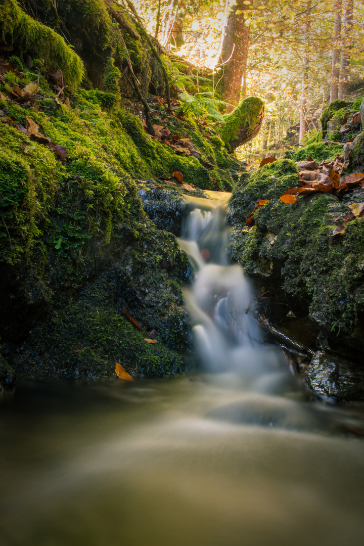 Wasserlauf