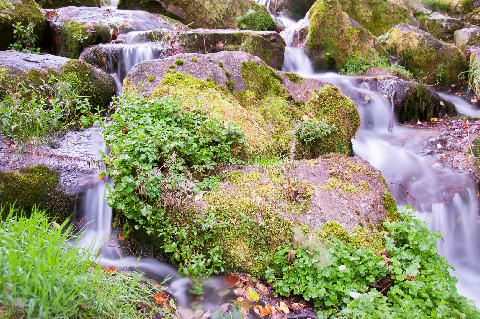 Wasserlauf