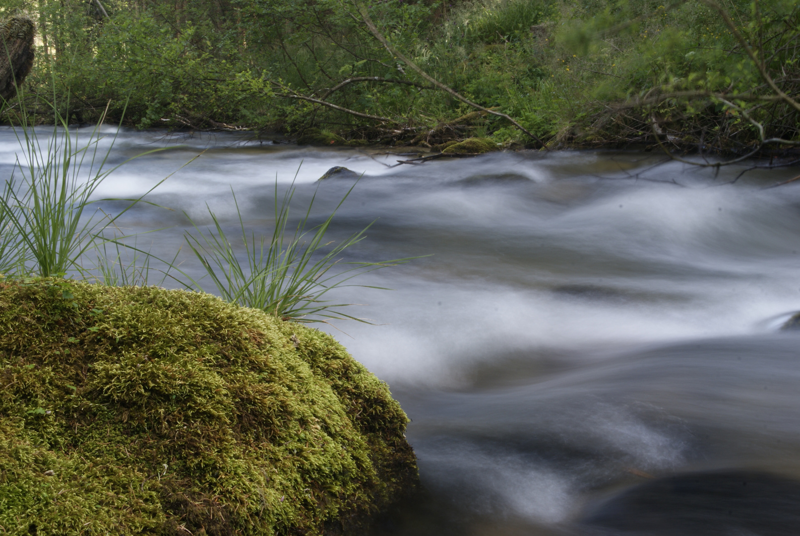 Wasserlauf