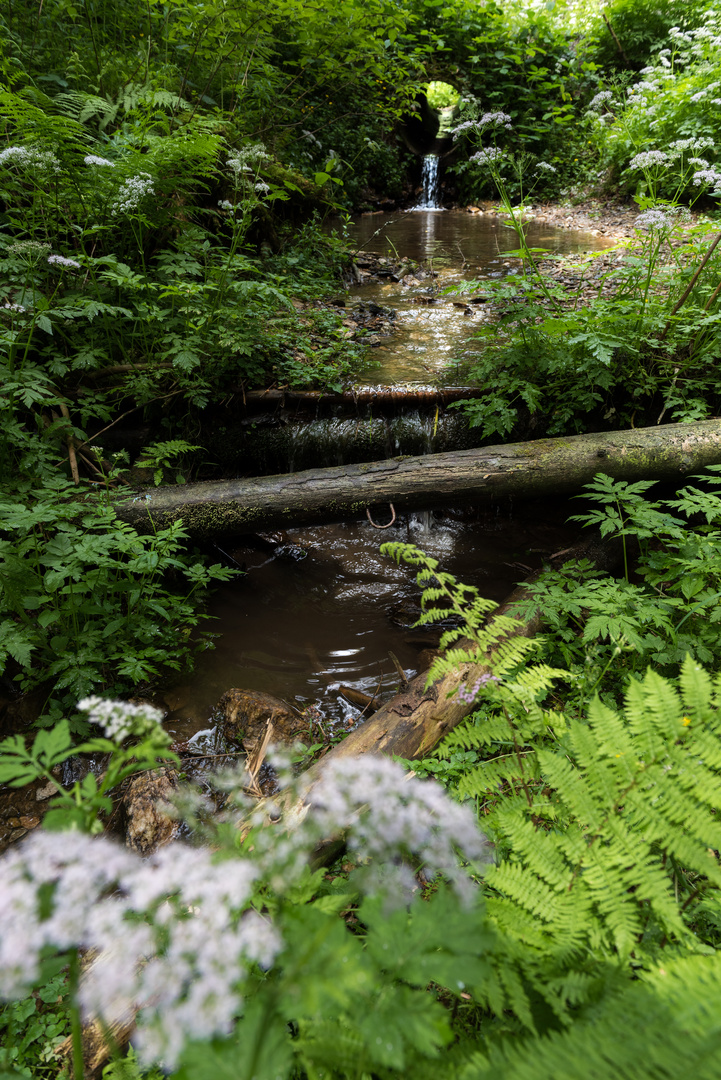 Wasserlauf