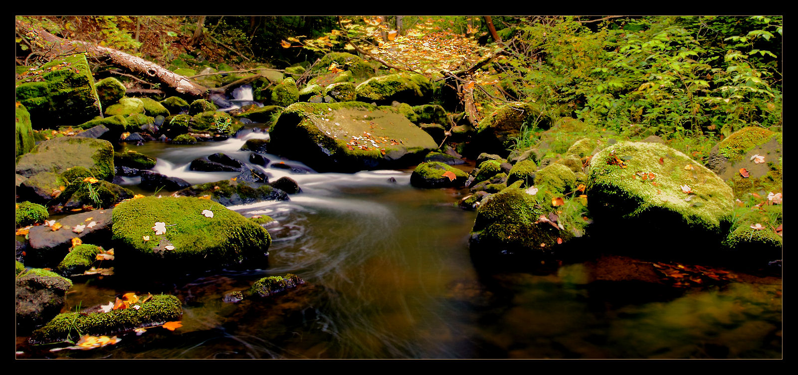 Wasserlauf